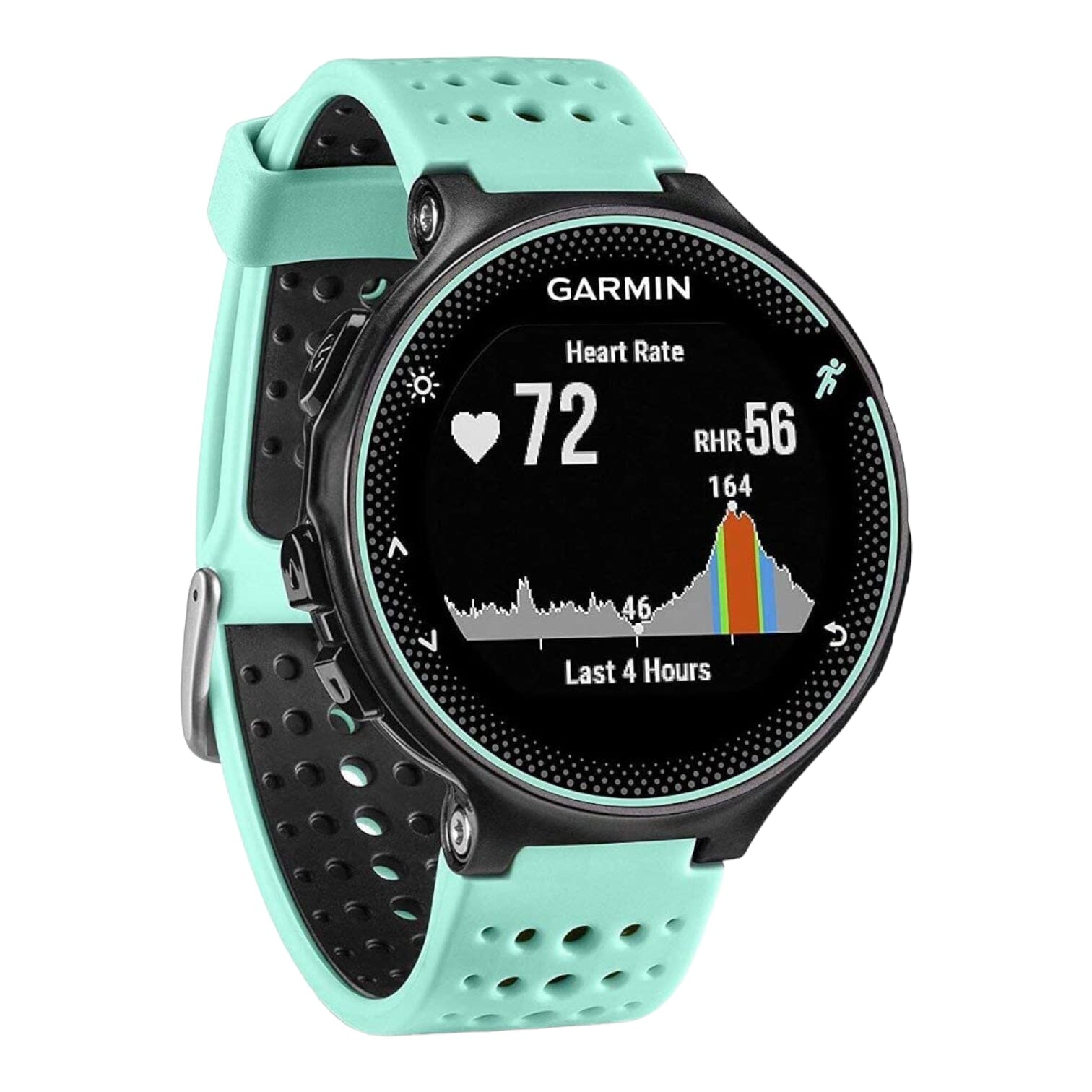 What model Garmin Forerunner do I have?